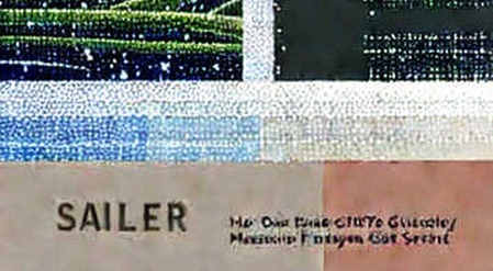 The Feedback Loop Central Bankers Don't Want You to See: On-Chain Data on the Trust Deficit