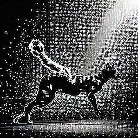 The Patent Illusion: Circle’s On-Chain Reality Check