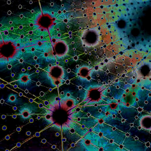 The AI Token Correction: A Macro Liquidity Signal or a Sector-Specific Reset? The AI Token Correction: A Macro Liquidity Signal or a Sector-Specific Reset?