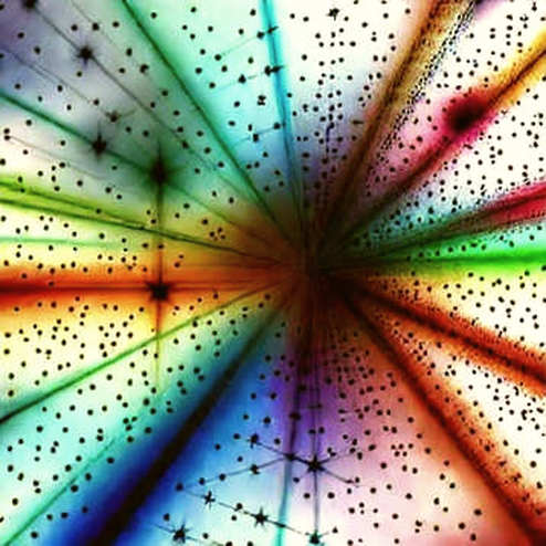 $9B Vault, Zero Transparency: The DeFi Centralization Trap You Can't Ignore