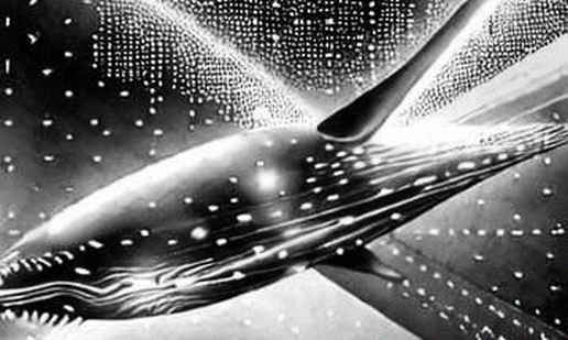The DA Illusion: Why 99% of Rollups Don't Need a Dedicated Data Layer The DA Illusion: Why 99% of Rollups Don't Need a Dedicated Data Layer