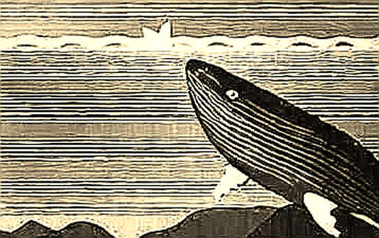 The Randomness That Wasn't: Coldcard's RNG Failure and the Architecture of Trust The Randomness That Wasn't: Coldcard's RNG Failure and the Architecture of Trust