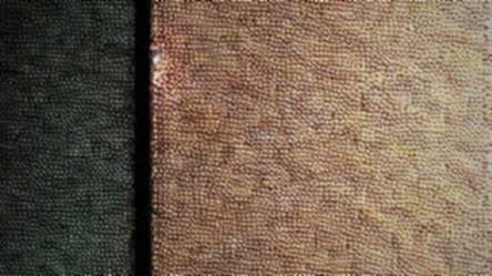 Lighter's $68M TVL: A Macro Trap in RWA Clothing