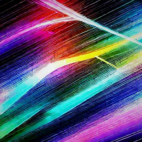 Robinhood's L2: The Token That Isn't Coming Robinhood's L2: The Token That Isn't Coming