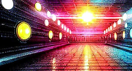 Nvidia's Prophecy: When the Chip Seller Predicts the Kingdom